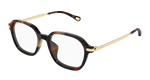 HAVANA / GOLD / TRANSPARENT