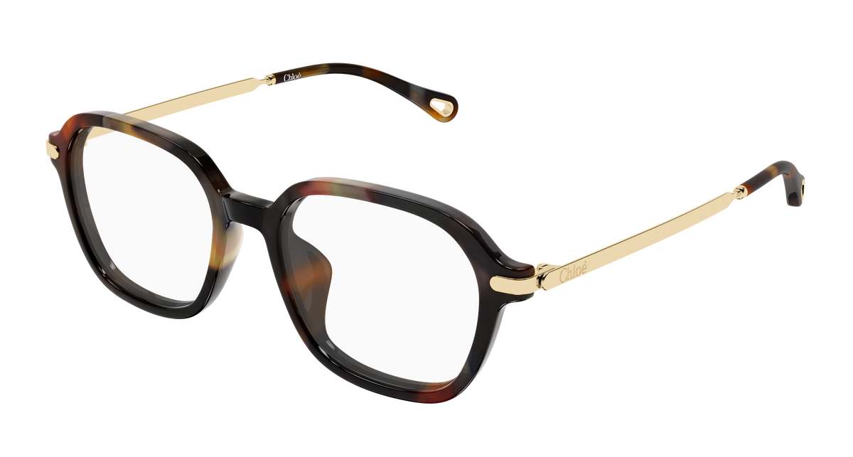 HAVANA / GOLD / TRANSPARENT