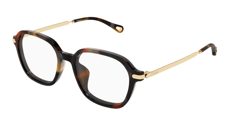 HAVANA / GOLD / TRANSPARENT