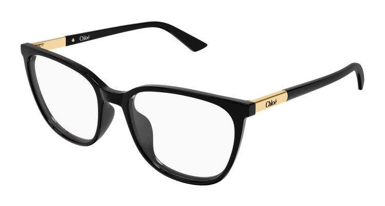 BLACK / TRANSPARENT