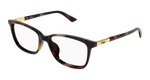 HAVANA / TRANSPARENT