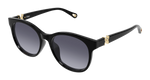 BLACK / VIOLET