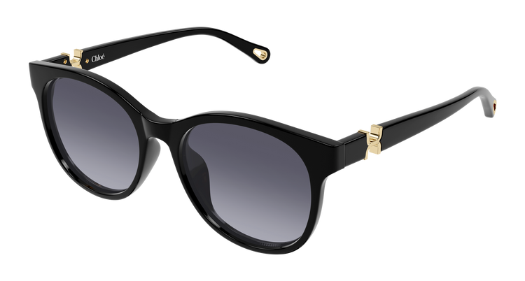 BLACK / VIOLET