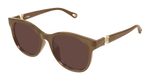 BROWN / BROWN