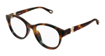 HAVANA / TRANSPARENT