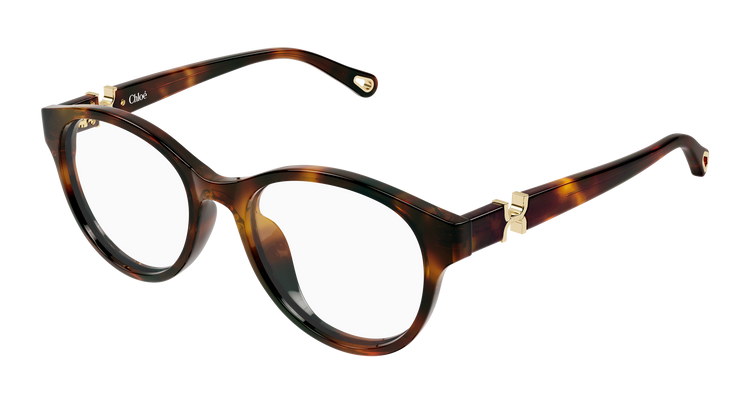 HAVANA / TRANSPARENT