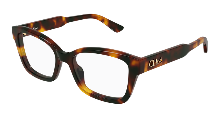 HAVANA / TRANSPARENT