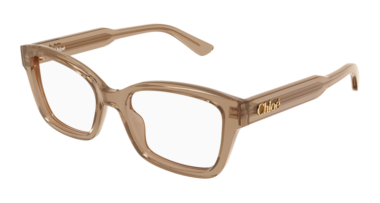 BROWN / TRANSPARENT