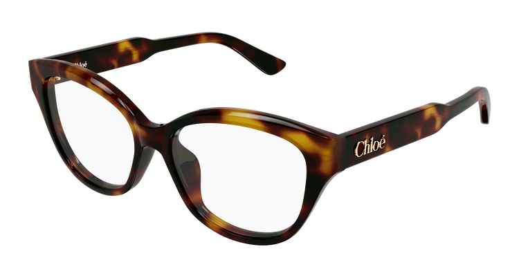 HAVANA / TRANSPARENT