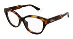 HAVANA / TRANSPARENT