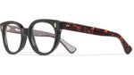 001 - BLACK/DARK TURTLE / 