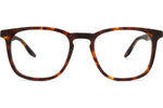 Chestnut / Demo