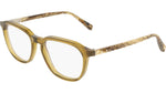 317 - TRANSPARENT KHAKI / 