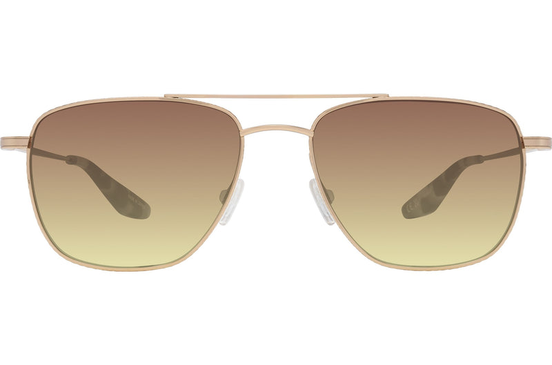 Gold / Bronzino (AR)