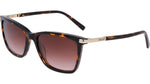 237 - DARK TORTOISE / 