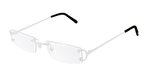 SILVER / SHINY / TRANSPARENT
