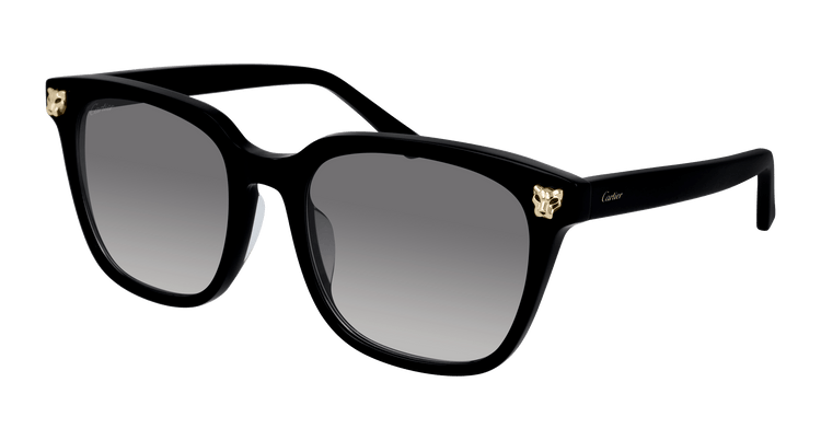 Cartier CT0143SA Asian Fit