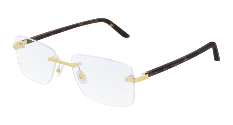 Cartier CT0216OA Asian Fit