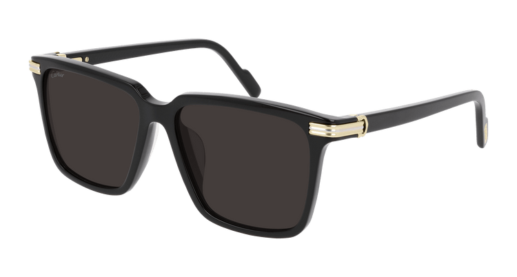 Cartier CT0220SA Asian Fit