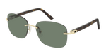 GOLD / HAVANA / GREEN