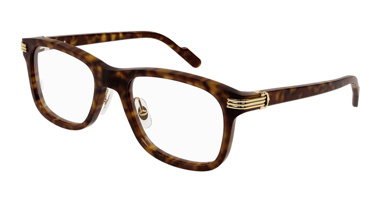 HAVANA / TRANSPARENT