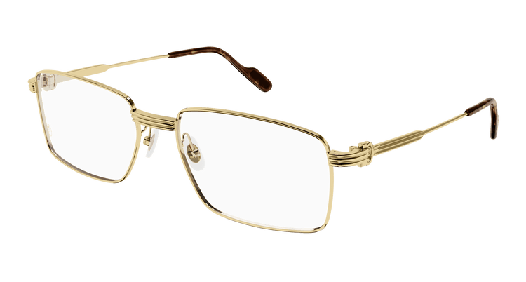 GOLD / TRANSPARENT