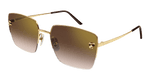 GOLD / BROWN