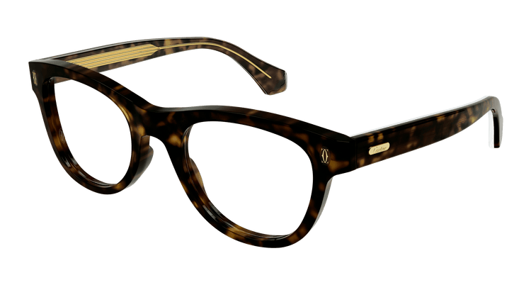 HAVANA / TRANSPARENT