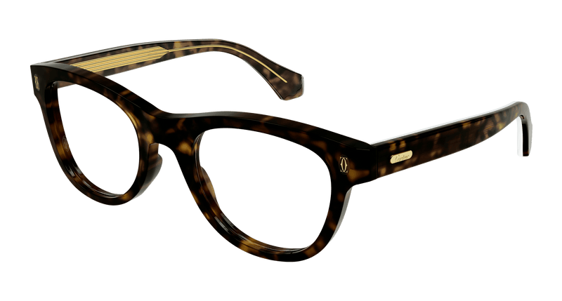 HAVANA / TRANSPARENT