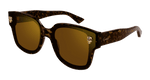 HAVANA / BROWN