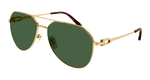 GOLD / GREEN