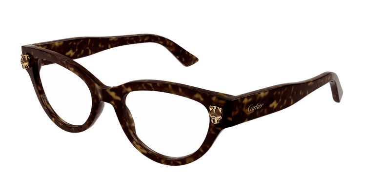 HAVANA / TRANSPARENT