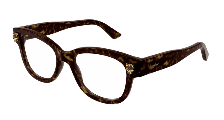 HAVANA / TRANSPARENT