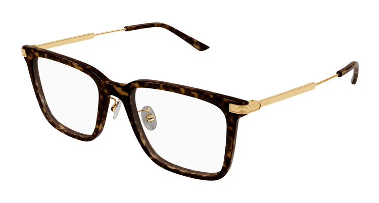 HAVANA / GOLD / TRANSPARENT