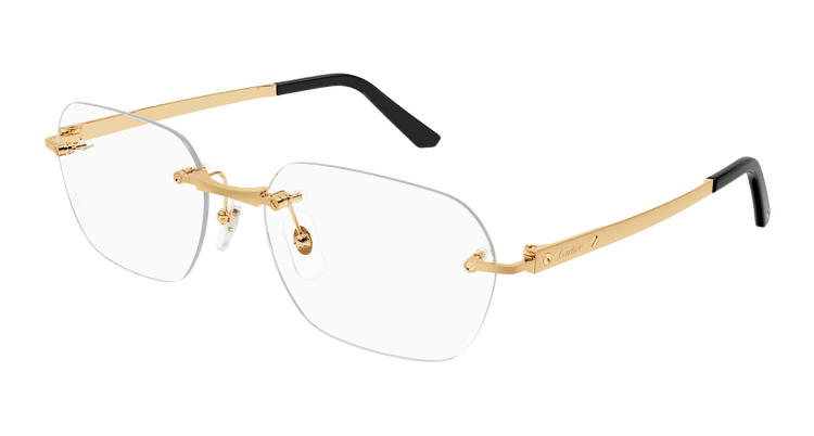 GOLD / TRANSPARENT