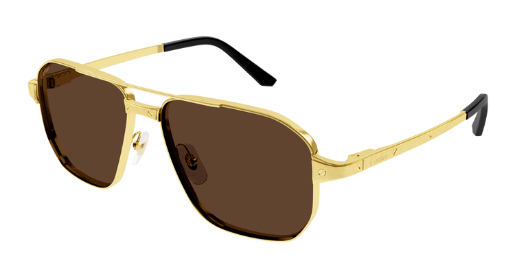 GOLD / BROWN