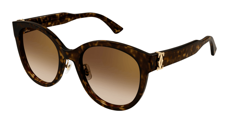 HAVANA / BROWN