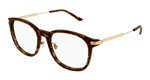 HAVANA / GOLD / TRANSPARENT