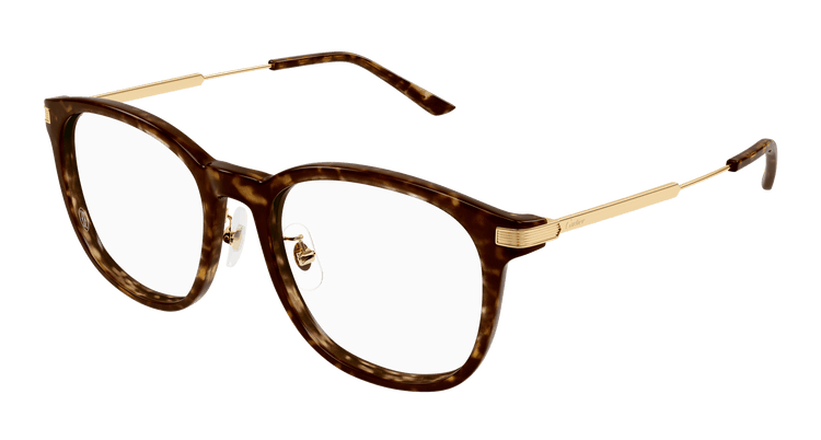 HAVANA / GOLD / TRANSPARENT