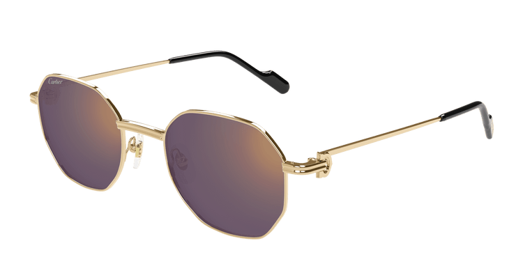 Cartier CT0500S