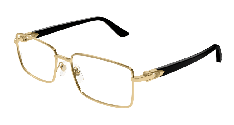 GOLD / BLACK / TRANSPARENT