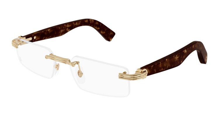 GOLD / HAVANA / TRANSPARENT