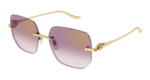 GOLD / VIOLET