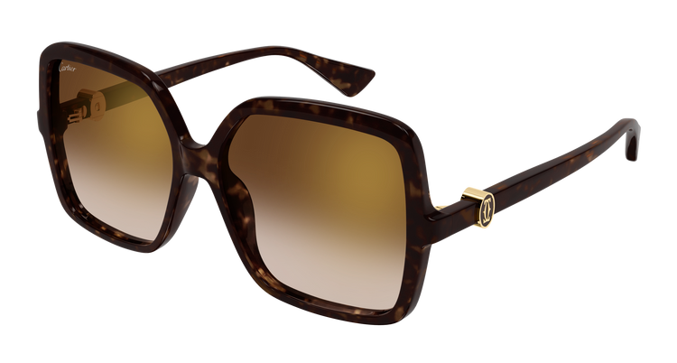 HAVANA / BROWN
