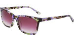541 - LILAC TORTOISE / 