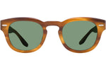 Umber Tortoise / Silver / Bottle Green (AR)