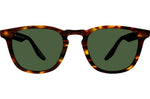 Classic Tortoise / Viridian (AR)