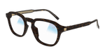 HAVANA / TRANSPARENT