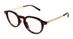 HAVANA / GOLD / TRANSPARENT