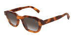 HAVANA / BROWN